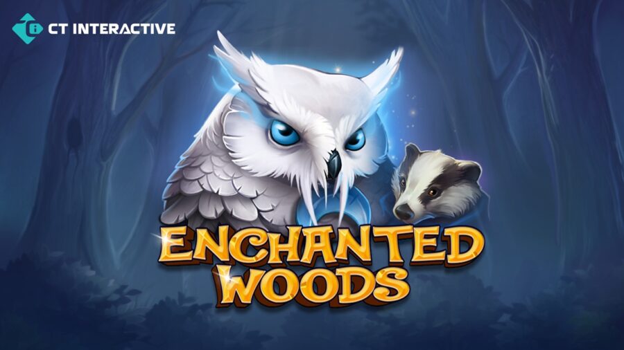 CT Interactive presents Enchanted Woods: a game where turbo wins and luck unite in the heart of the forest